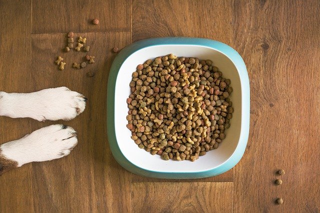 best dog food for heart health