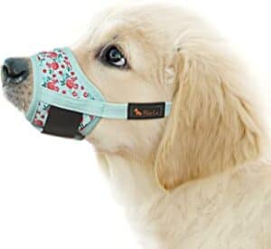 Dog Grooming For Aggressive Dogs