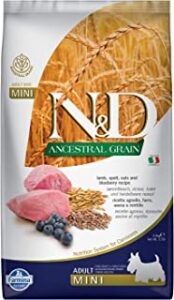 Best Dog Food For Puppies