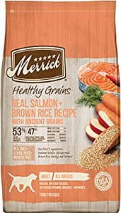 What Are The Best Dog Food Brands