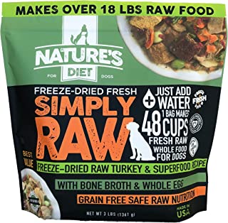 What Are The Best Dog Food Brands